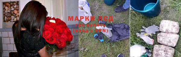 дживик Михайловск